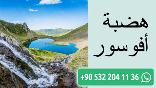 هضبة أفوسور